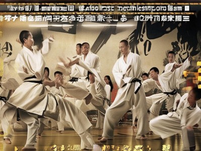 传统武术的现代化转型：从养生文化到竞技赛事的路径探索